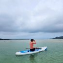 자락협재 | [제주도 일주일살기] 제주도 여행1💛feat.판포포구 최고👍