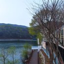 물댄동산 이미지