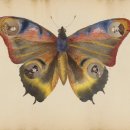 인지약국 이미지