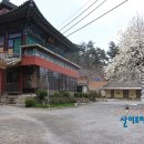 부여(홍산)-04 이미지