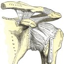 경희햇살한의원 이미지
