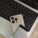 비즈카페 | 플라우드 한 달 후기