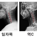 피트니스 넘버원 이미지