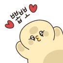 알리스테이 이미지