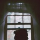 희미한옛사랑의 그림자 이미지