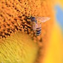 구와우농장 이미지