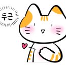 리바이버우드