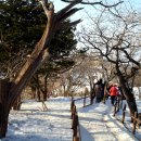 역고드름 이미지