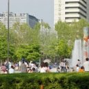 평촌중앙공원 이미지
