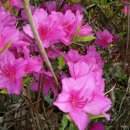 정남진휴랜드관광농원 이미지