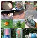 정심농장 이미지