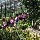 명륜초등학교 병설유치원 이미지