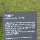 여주-0593 Daum카페