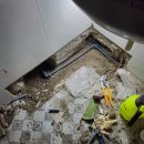 양지로·양지남로 이미지