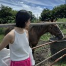 스튜디오숄트