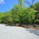 마중펜션캠핑장 이미지