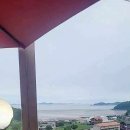 오카소 애견온수수영장 펜션