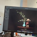독스동물병원 | 최근 가장 행복했던 순간! 반려견과 사진 촬영 [어나더심펫 스튜디오] 최고예요