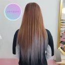손토끼네일&증모