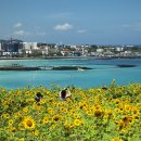 꽃이있는풍경 이미지