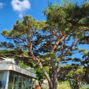 삼산 소공원 이미지