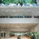 일상비일상 이미지