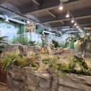 쥬니멀 전시장 이미지