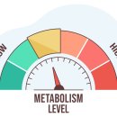 오룡2길 이미지