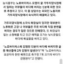 생굴먹으면 노로바이러스 감염되는 이유 .......jpg 이미지