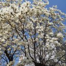 위드유호텔앤게스트하우스 이미지