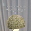 업사이클링 환경교육지도사 자격 과정 이미지