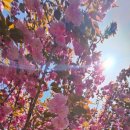 초록빛하루 이미지