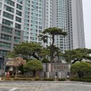 반포 래아·디에이치 세탁 | 서초구커튼 반포동블라인드 반포리체아파트시공후기 #동대문커튼블라인드전문업체집사랑커텐