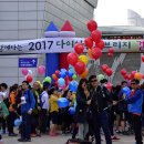 '2017 다이아몬드 브리지 광안대교 걷기 축제' 이미지