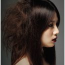 헤어테라피 - 춘천시 | 헤어테라피