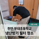 부대초등학교 이미지