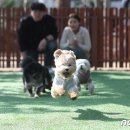 놀자 - 마포구 와우산로29길 19 | 놀자
