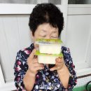 와룡상회 이미지