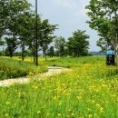 밝은세상약국 이미지