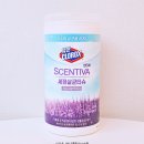 세정목재 | 센티바 세정살균티슈로 화장실청소부터 가스레인지까지 생활오염 싹