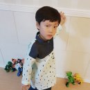 댄디보이 - 김포시 | 댄디보이