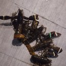 안양바다낚시터 이미지