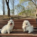 옻골다목적구장 이미지