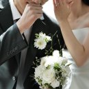 [w] 아오라 웨딩촬영을 위한 준비_부케편(범일동 꽃시장 봄봄플라워 솔직후기🌷)