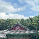 원주 구룡사 삼장보살도 | 구룡사 천년 전설이 있는 아홉 용이 지켜낸 사찰의 매력