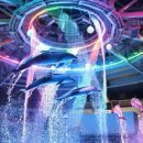 아쿠아 파크 이미지