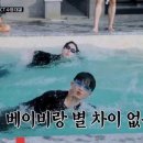 수영농장 이미지