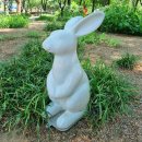서구청소년수련관 강의실(대) | 수국명소로 유명한 대구 이현공원 방문후기