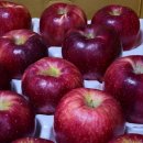 삼정농원 이미지