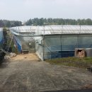 한라봉공인중개사사무소 이미지